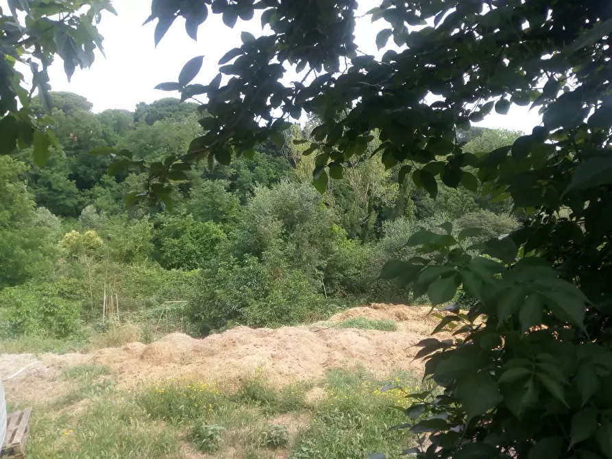 Immagine 39 di Casa colonica in vendita  a Collesalvetti