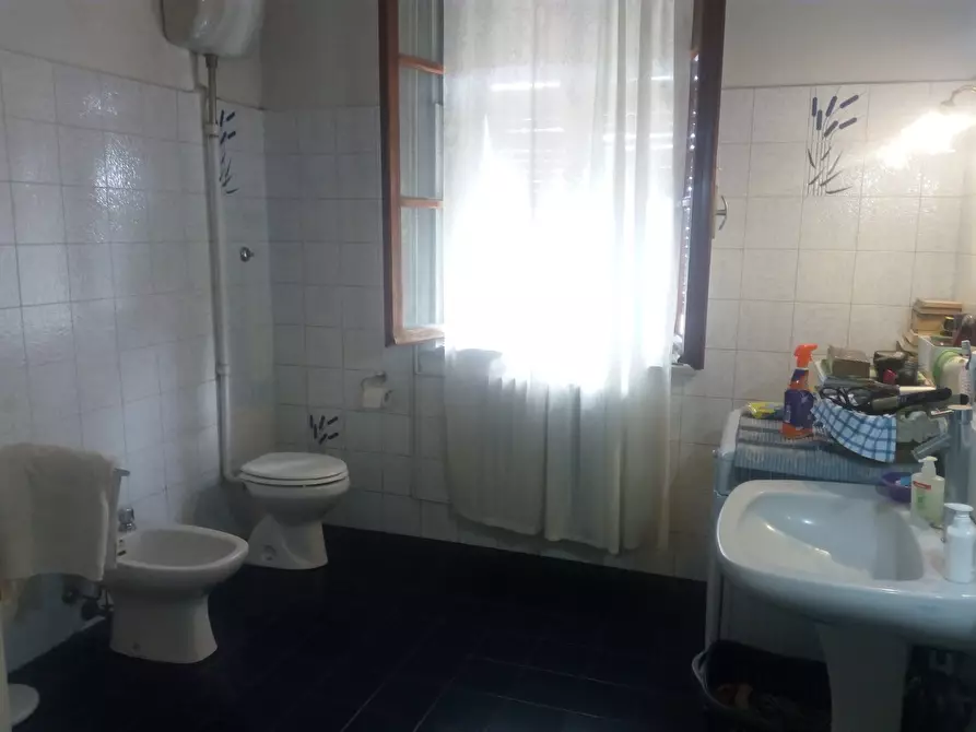 Immagine 21 di Casa colonica in vendita  a Collesalvetti