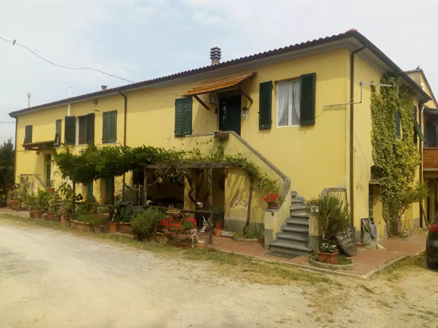 Immagine 48 di Casa colonica in vendita  a Collesalvetti