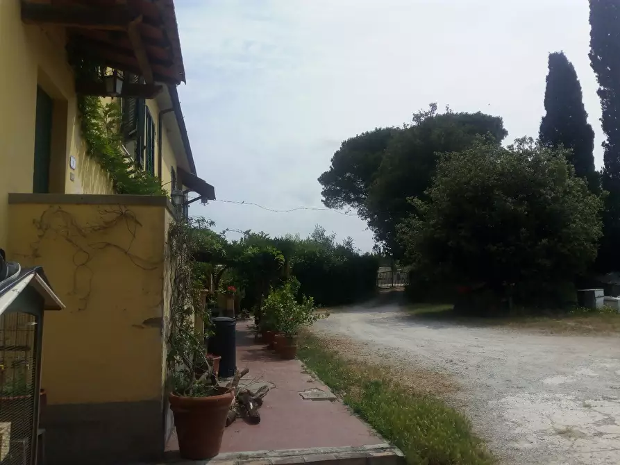Immagine 30 di Casa colonica in vendita  a Collesalvetti