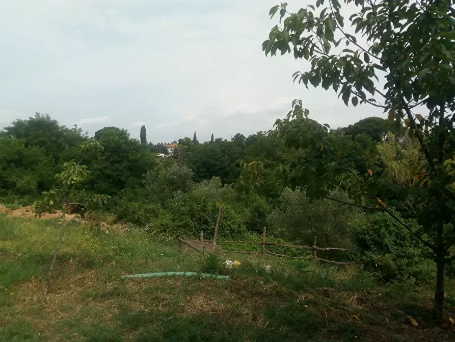 Immagine 36 di Casa colonica in vendita  a Collesalvetti