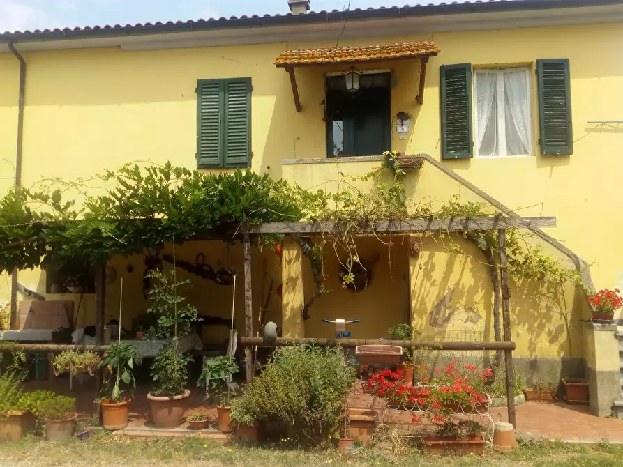 Immagine 31 di Casa colonica in vendita  a Collesalvetti