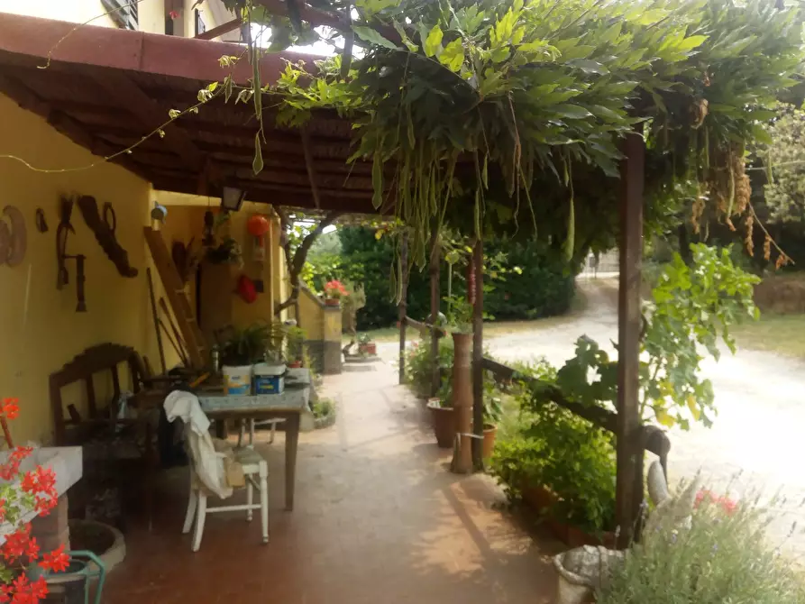 Immagine 43 di Casa colonica in vendita  a Collesalvetti