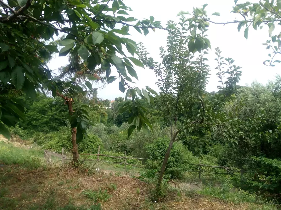 Immagine 32 di Casa colonica in vendita  a Collesalvetti