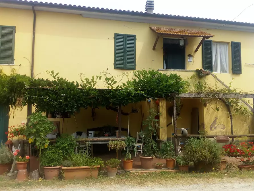 Immagine 49 di Casa colonica in vendita  a Collesalvetti