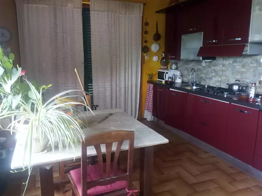 Immagine 52 di Casa colonica in vendita  a Collesalvetti