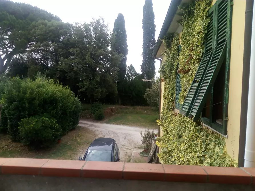 Immagine 55 di Casa colonica in vendita  a Collesalvetti