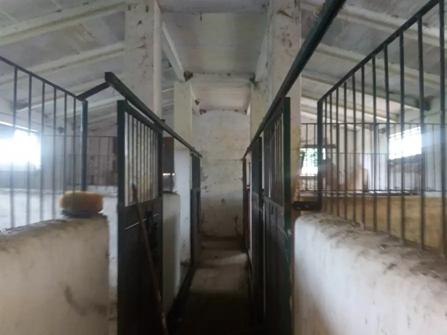 Immagine 40 di Casa colonica in vendita  a Collesalvetti