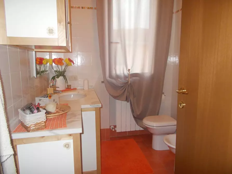 Immagine 12 di Appartamento in affitto  a Ponsacco