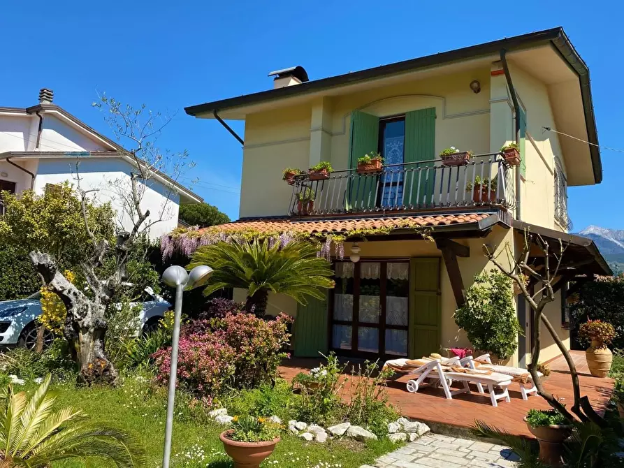 Immagine 3 di Villa in vendita  a Montignoso