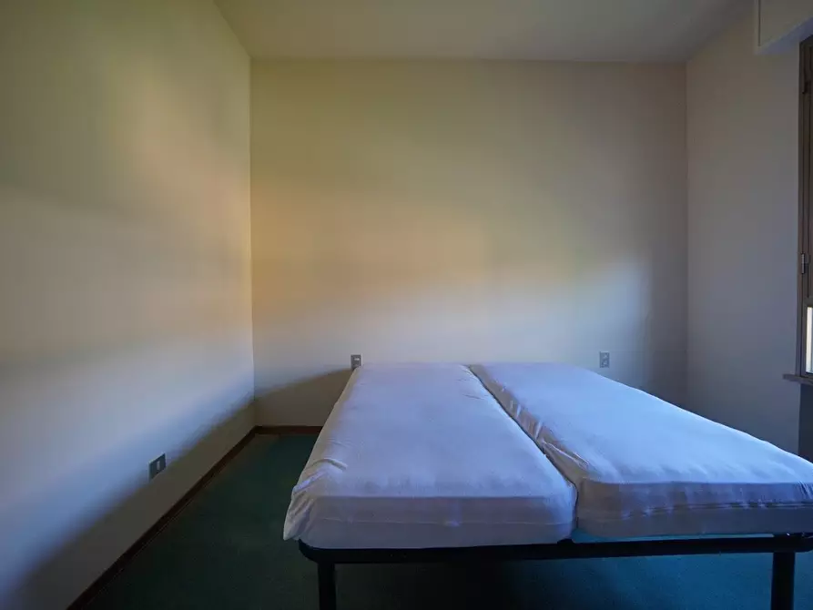 Immagine 5 di Appartamento in vendita  a Massa