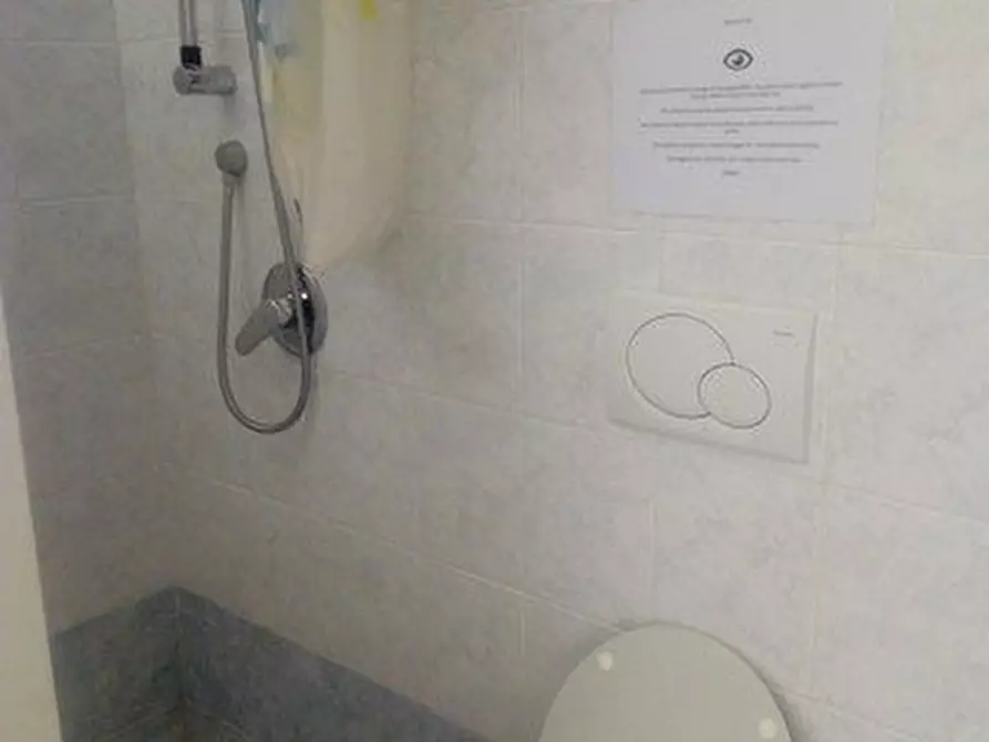 Immagine 17 di Mansarda in vendita  a Massa