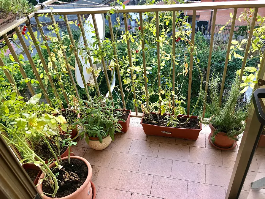 Immagine 7 di Appartamento in vendita  a Pisa