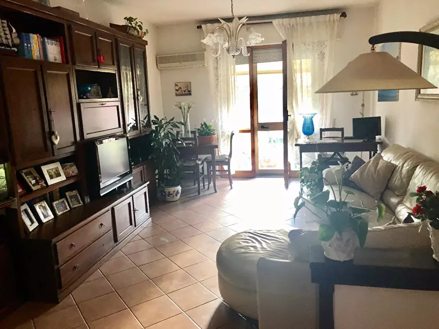 Immagine 8 di Appartamento in vendita  a Pisa