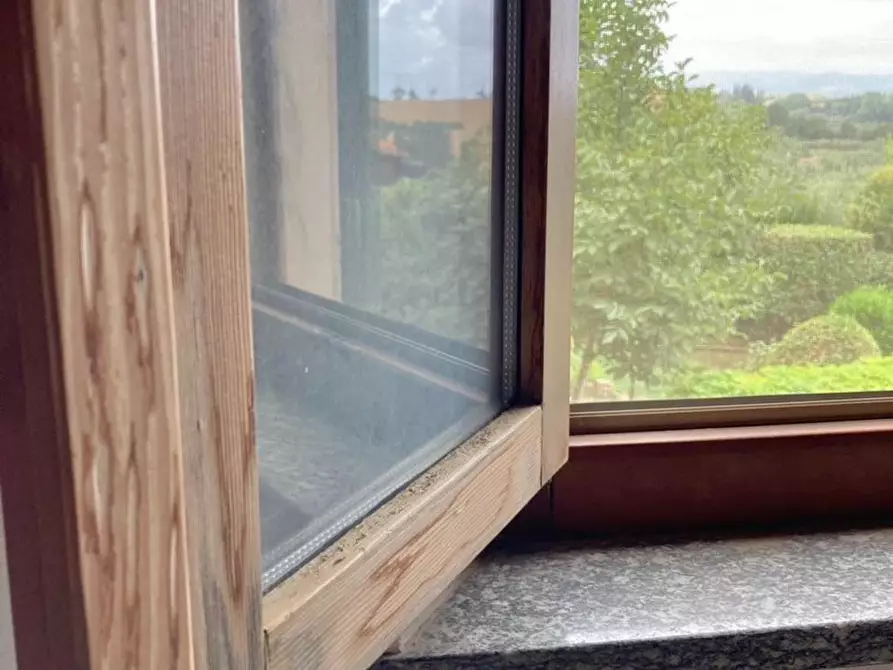 Immagine 7 di Appartamento in vendita  a Capannoli