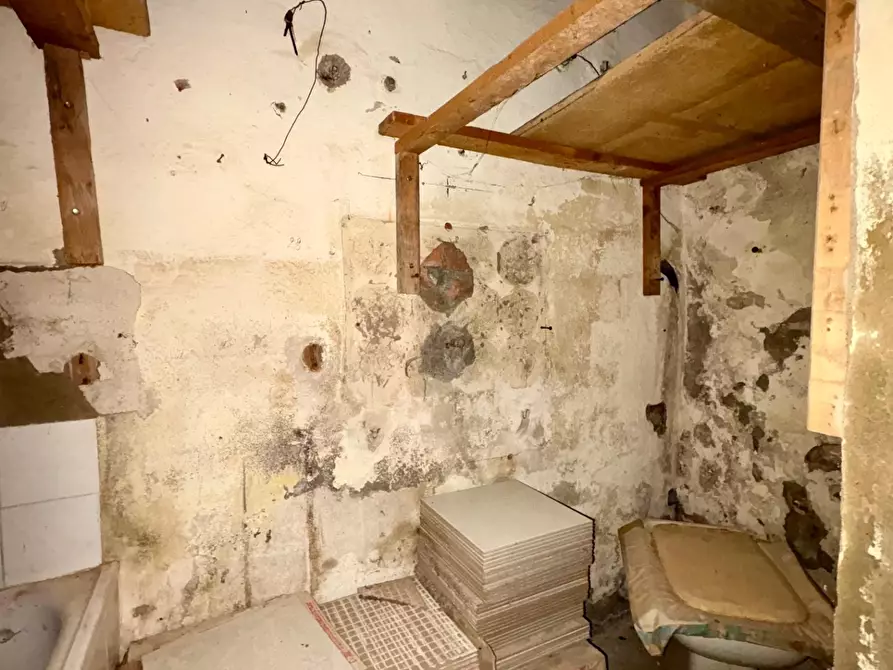 Immagine 37 di Appartamento in vendita  a Capannoli