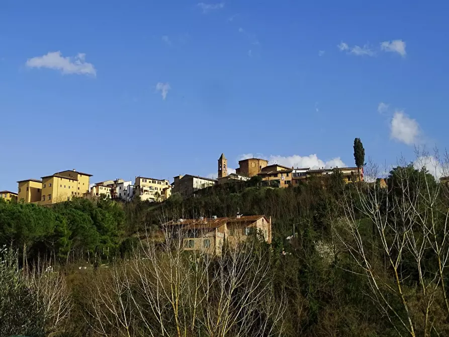Immagine 16 di Appartamento in affitto  a San Miniato