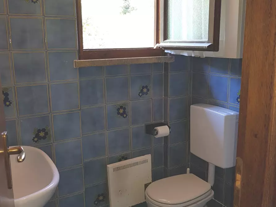 Immagine 6 di Appartamento in vendita  a Rio Marina