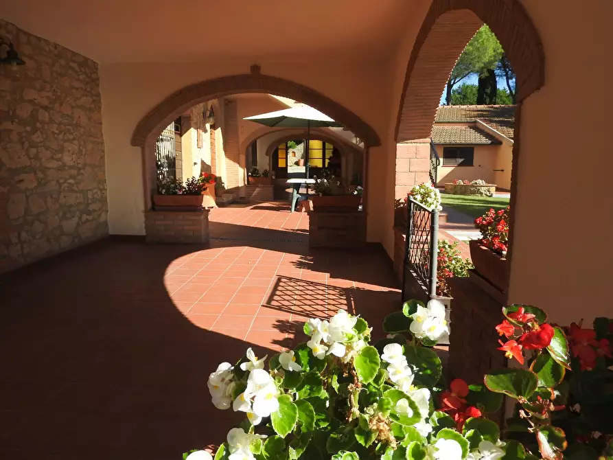 Immagine 4 di Casa colonica in vendita  a Cecina