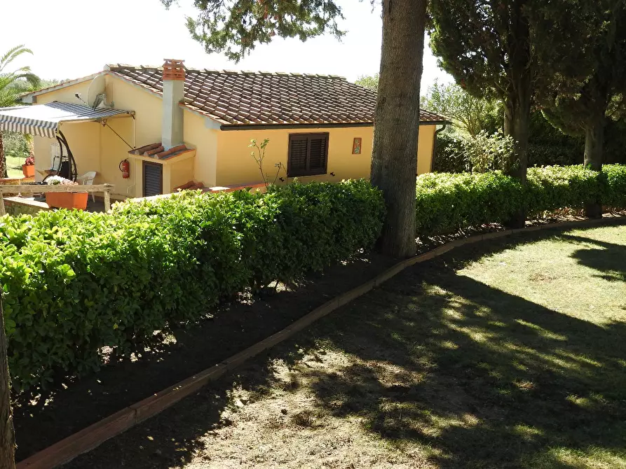 Immagine 9 di Casa colonica in vendita  a Cecina