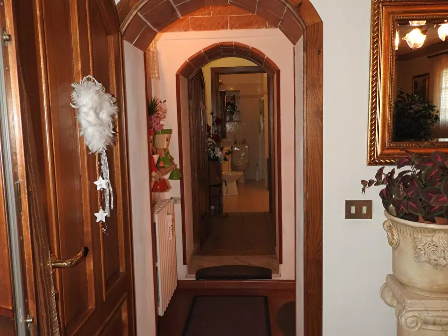 Immagine 19 di Casa colonica in vendita  a Cecina