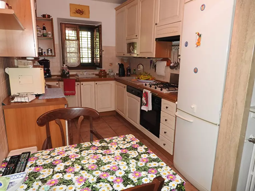 Immagine 20 di Casa colonica in vendita  a Cecina