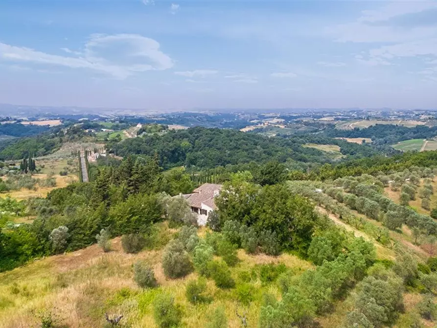 Immagine 18 di Casa colonica in vendita  a Montespertoli