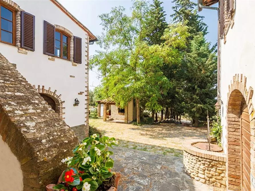 Immagine 5 di Casa colonica in vendita  a Montespertoli