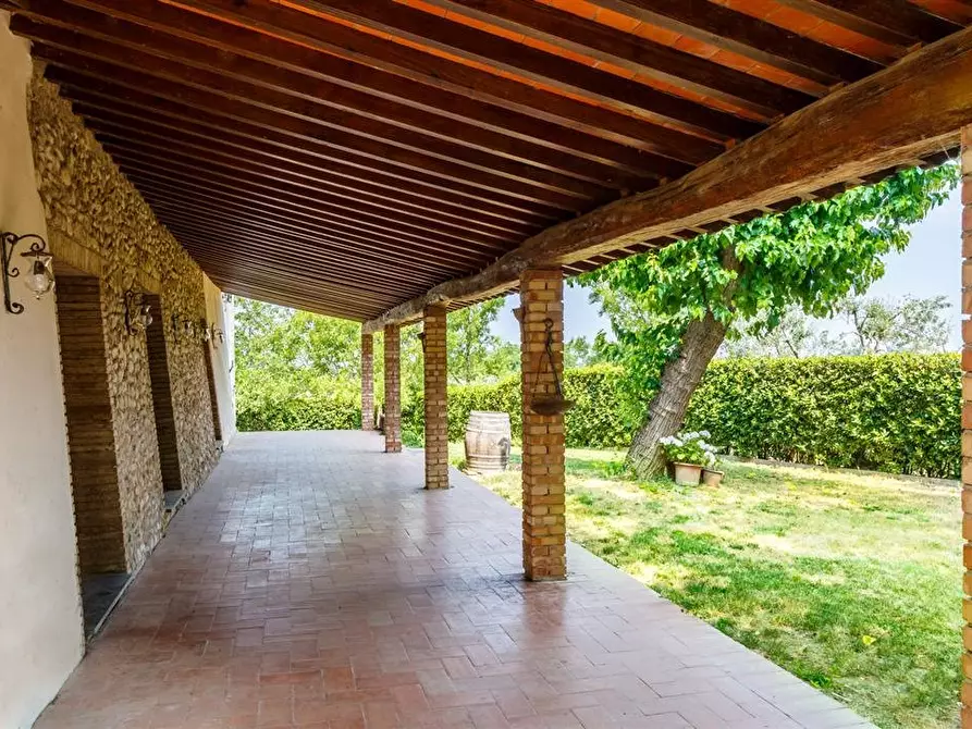 Immagine 8 di Casa colonica in vendita  a Montespertoli