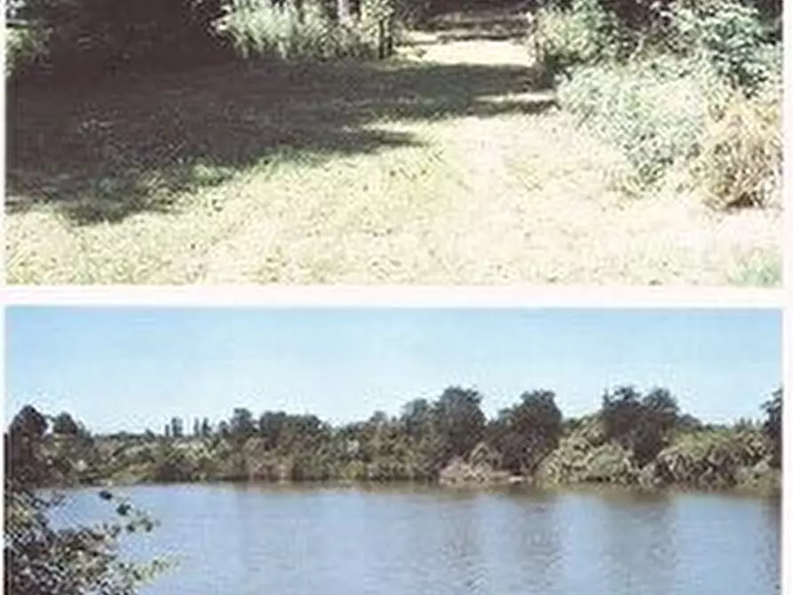 Immagine 7 di Villa in vendita  a Pisa