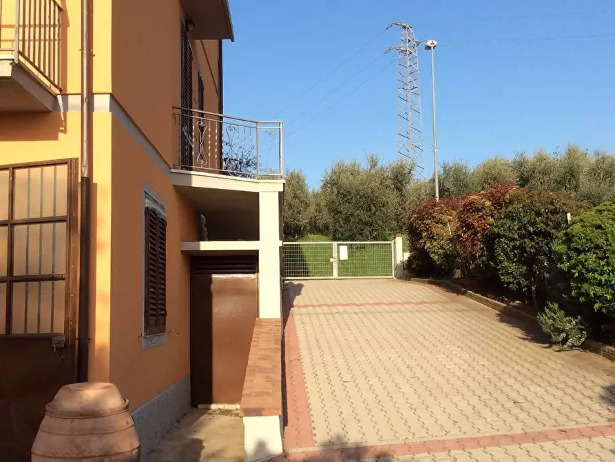 Immagine 4 di Appartamento in vendita  a Vinci