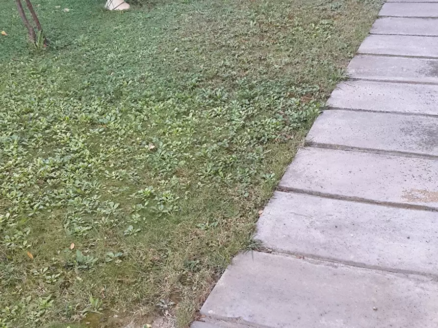 Immagine 4 di Appartamento in vendita  a Castelfranco Di Sotto