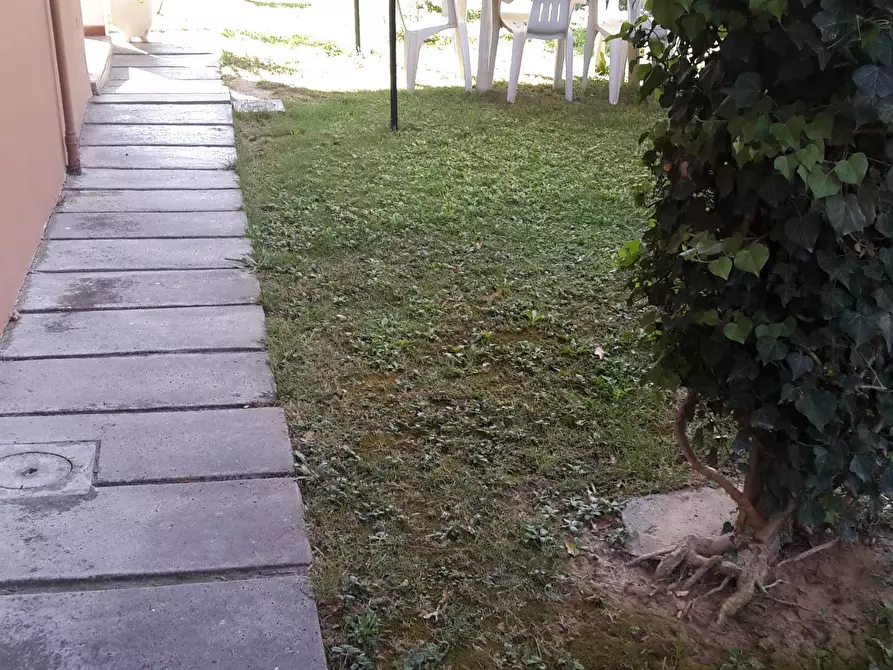 Immagine 5 di Appartamento in vendita  a Castelfranco Di Sotto