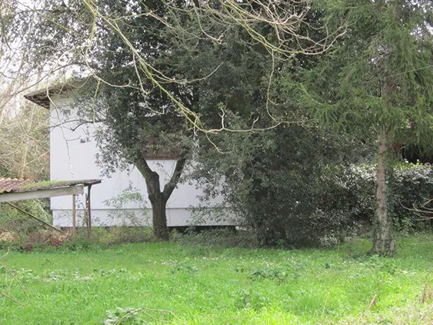 Immagine 17 di Villa in vendita  a Pisa