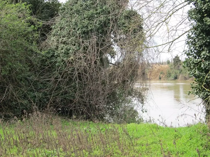 Immagine 18 di Villa in vendita  a Pisa