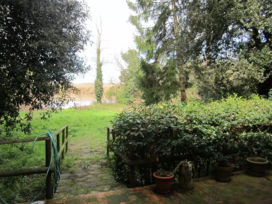 Immagine 15 di Villa in vendita  a Pisa