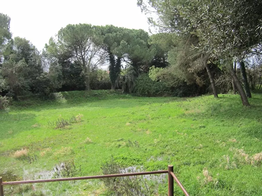 Immagine 12 di Villa in vendita  a Pisa