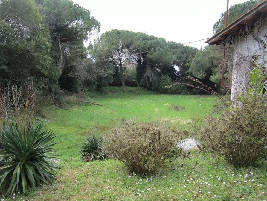 Immagine 5 di Villa in vendita  a Pisa