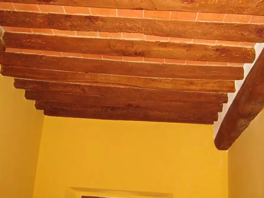 Immagine 22 di Appartamento in vendita  a Peccioli