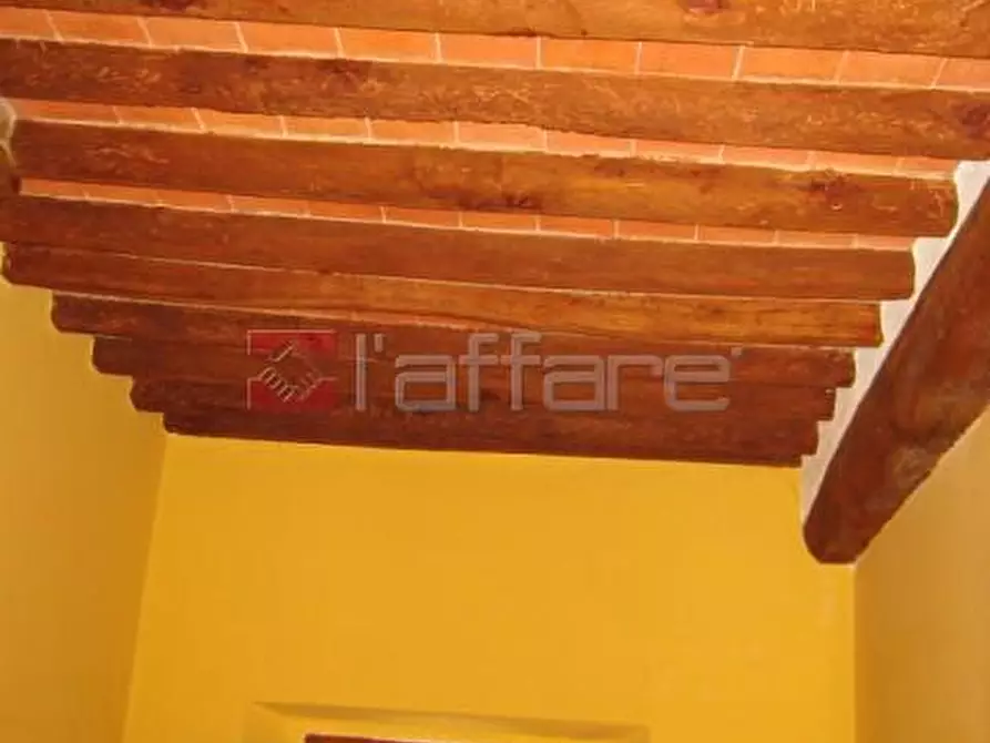 Immagine 6 di Appartamento in vendita  a Peccioli