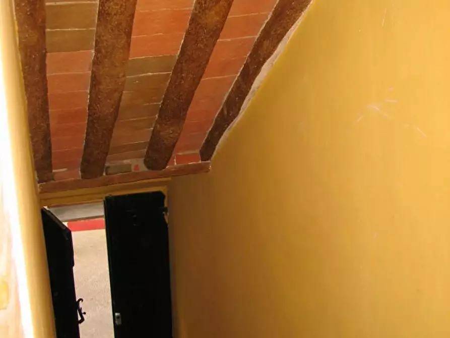 Immagine 19 di Appartamento in vendita  a Peccioli
