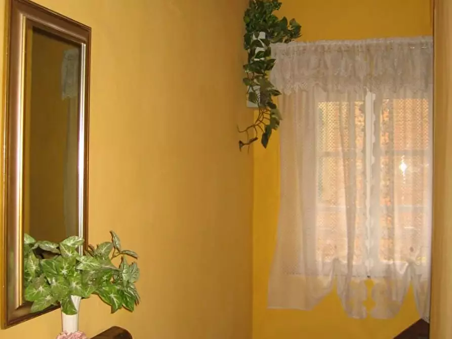 Immagine 23 di Appartamento in vendita  a Peccioli