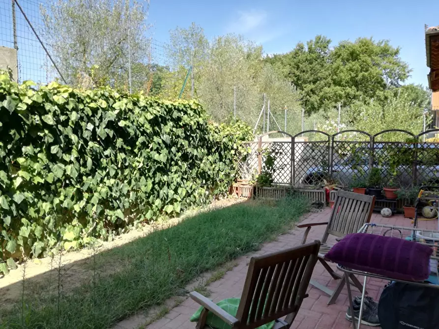 Immagine 15 di Casa indipendente in vendita  a Terricciola