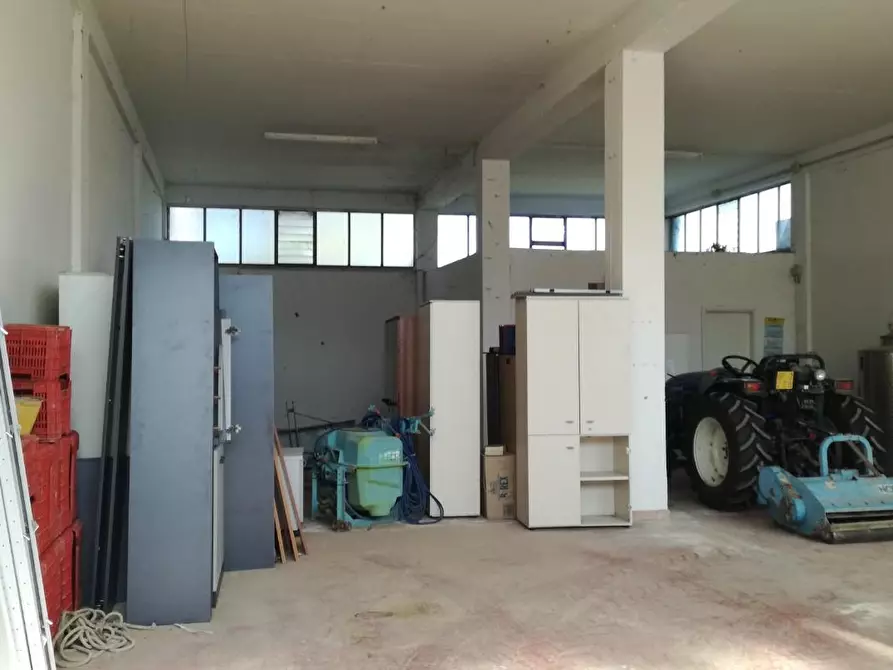 Immagine 10 di Attività artigianale in affitto  a Capannoli