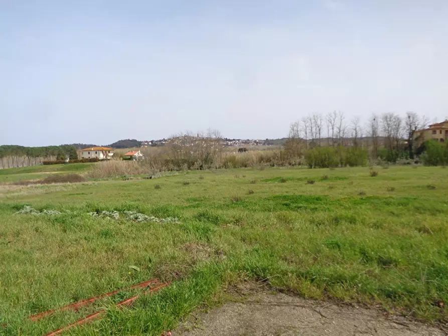 Immagine 3 di Terreno residenziale in vendita  a Terricciola