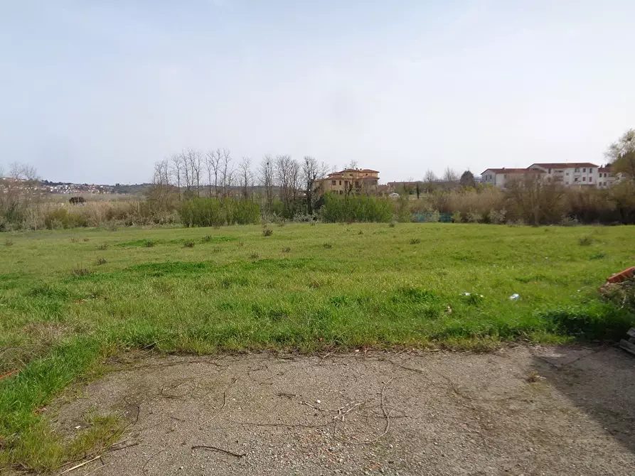 Immagine 2 di Terreno residenziale in vendita  a Terricciola