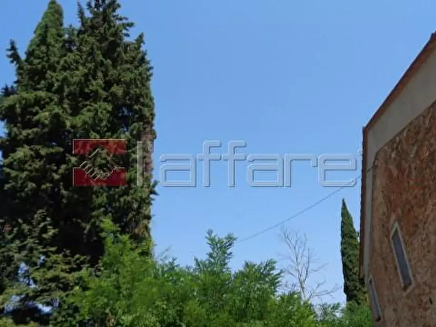 Immagine 6 di Terratetto in affitto  a Capannoli