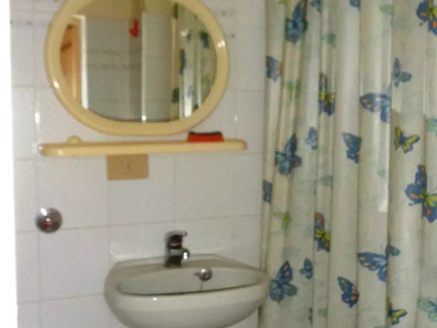 Immagine 4 di Appartamento in affitto  a Palaia