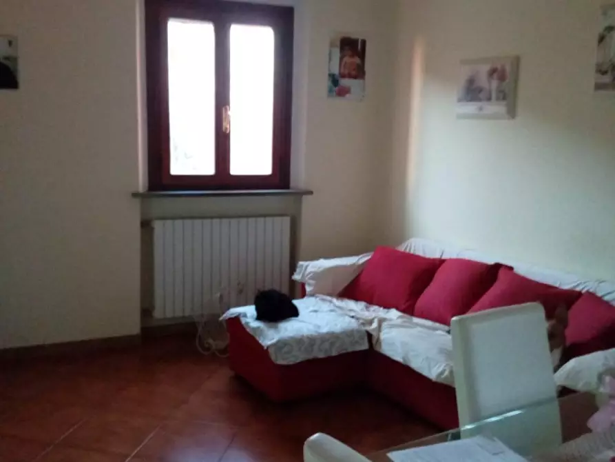 Immagine 18 di Terratetto in vendita  a Palaia