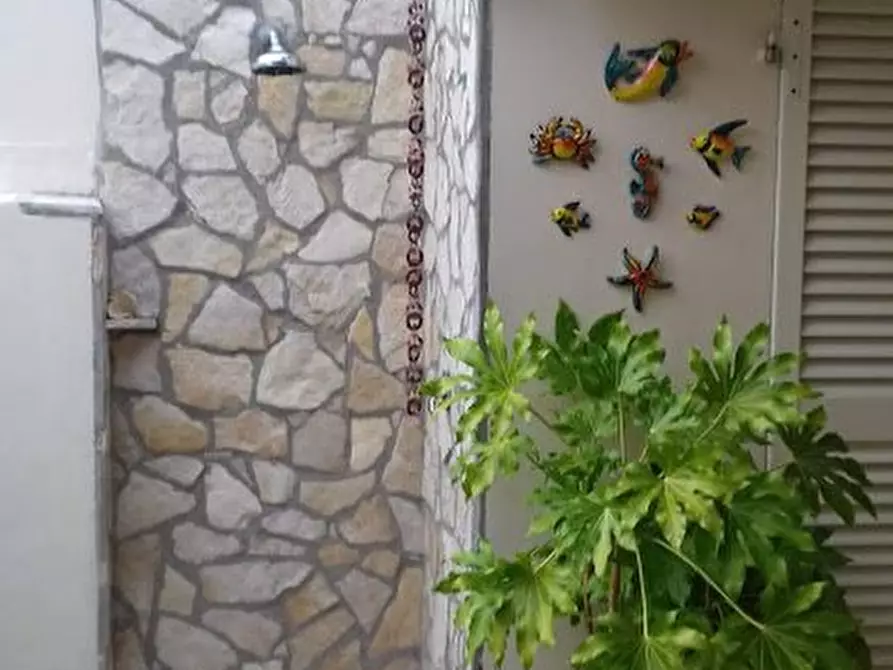 Immagine 7 di Casa semindipendente in affitto  a Carrara